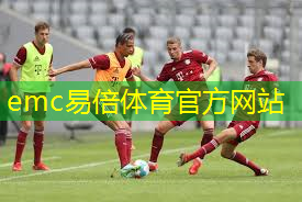 弘润远翔乒乓球台