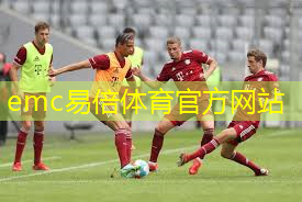 乒乓球台桌面什么材质的好