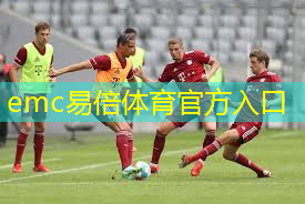 乒乓球台室内比赛专用